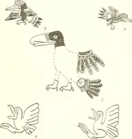 An illustration from Papers of the Peabody Museum of American Archaeology and Ethnology, Harvard University (1904)