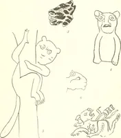 An illustration from Papers of the Peabody Museum of American Archaeology and Ethnology, Harvard University (1904)