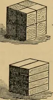 An illustration from Papers on Froebel's kindergarten, with suggestions on principles and methods of child culture in different countries (1881)