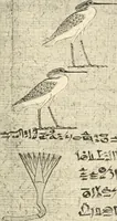 An illustration from Papyrus funéraires de la XXIe dynastie (1914)