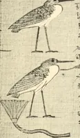 Picture 24 of 54 from Papyrus funéraires de la XXIe dynastie (1914), leaf 74