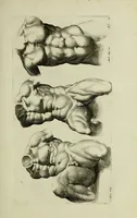 An illustration from Paradigmata graphices variorum artificum (1670)