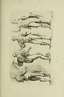 An illustration from Paradigmata graphices variorum artificum (1670)