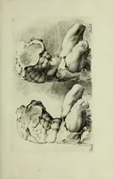 Picture 26 of 162 from Paradigmata graphices variorum artificum (1670), leaf 56