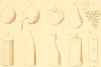 An illustration from The paradise of childhood: a manual for self-instruction in Friedrich Froebel's educational principles, and a practical guide to kinder-gartners (1869)