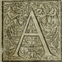 An illustration from Paradisi in sole, paradisus terrestris : or, a choice garden of all sorts of rarest flowers : with their nature, place of birth, time of flowering, names, and vertues to each plant, useful in physick, or admired for beauty. To which is annext a kitchen-garden furnished with all manner of herbs, roots, and fruits, for meat or sawce used with us. With the art of planting an orchard of all sorts of fruit-bearing trees and shrubs, shewing the nature of grafting, inoculating and pruning of them. Together with the right ordering, planting and preserving of them, with their select vertues: All unmentioned in former Herbals (1656)
