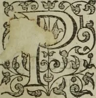 An illustration from Paradisi in sole, paradisus terrestris : or, a choice garden of all sorts of rarest flowers : with their nature, place of birth, time of flowering, names, and vertues to each plant, useful in physick, or admired for beauty. To which is annext a kitchen-garden furnished with all manner of herbs, roots, and fruits, for meat or sawce used with us. With the art of planting an orchard of all sorts of fruit-bearing trees and shrubs, shewing the nature of grafting, inoculating and pruning of them. Together with the right ordering, planting and preserving of them, with their select vertues: All unmentioned in former Herbals (1656)
