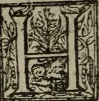 An illustration from Paradisi in sole, paradisus terrestris : or, a choice garden of all sorts of rarest flowers : with their nature, place of birth, time of flowering, names, and vertues to each plant, useful in physick, or admired for beauty. To which is annext a kitchen-garden furnished with all manner of herbs, roots, and fruits, for meat or sawce used with us. With the art of planting an orchard of all sorts of fruit-bearing trees and shrubs, shewing the nature of grafting, inoculating and pruning of them. Together with the right ordering, planting and preserving of them, with their select vertues: All unmentioned in former Herbals (1656)