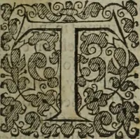 An illustration from Paradisi in sole, paradisus terrestris : or, a choice garden of all sorts of rarest flowers : with their nature, place of birth, time of flowering, names, and vertues to each plant, useful in physick, or admired for beauty. To which is annext a kitchen-garden furnished with all manner of herbs, roots, and fruits, for meat or sawce used with us. With the art of planting an orchard of all sorts of fruit-bearing trees and shrubs, shewing the nature of grafting, inoculating and pruning of them. Together with the right ordering, planting and preserving of them, with their select vertues: All unmentioned in former Herbals (1656)