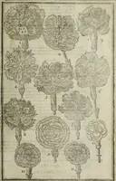 An illustration from Paradisi in sole, paradisus terrestris : or, a choice garden of all sorts of rarest flowers : with their nature, place of birth, time of flowering, names, and vertues to each plant, useful in physick, or admired for beauty. To which is annext a kitchen-garden furnished with all manner of herbs, roots, and fruits, for meat or sawce used with us. With the art of planting an orchard of all sorts of fruit-bearing trees and shrubs, shewing the nature of grafting, inoculating and pruning of them. Together with the right ordering, planting and preserving of them, with their select vertues: All unmentioned in former Herbals (1656)