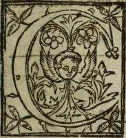 An illustration from Paradisi in sole, paradisus terrestris : or, a choice garden of all sorts of rarest flowers : with their nature, place of birth, time of flowering, names, and vertues to each plant, useful in physick, or admired for beauty. To which is annext a kitchen-garden furnished with all manner of herbs, roots, and fruits, for meat or sawce used with us. With the art of planting an orchard of all sorts of fruit-bearing trees and shrubs, shewing the nature of grafting, inoculating and pruning of them. Together with the right ordering, planting and preserving of them, with their select vertues: All unmentioned in former Herbals (1656)