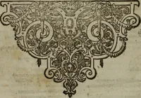 An illustration from Paradisi in sole, paradisus terrestris : or, a choice garden of all sorts of rarest flowers : with their nature, place of birth, time of flowering, names, and vertues to each plant, useful in physick, or admired for beauty. To which is annext a kitchen-garden furnished with all manner of herbs, roots, and fruits, for meat or sawce used with us. With the art of planting an orchard of all sorts of fruit-bearing trees and shrubs, shewing the nature of grafting, inoculating and pruning of them. Together with the right ordering, planting and preserving of them, with their select vertues: All unmentioned in former Herbals (1656)