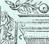 Picture 101 of 115 from Paradossi per pratticare la prospettiva senza saperla, fiori, per facilitare l'intelligenza, frvtti, per non operare alla cieca : cognitioni necessarie a pittori, scultori, architetti, ed à qualunque si diletta di disegno (1672), leaf 110