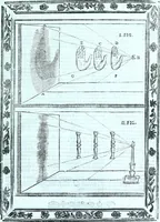 Picture 28 of 115 from Paradossi per pratticare la prospettiva senza saperla, fiori, per facilitare l'intelligenza, frvtti, per non operare alla cieca : cognitioni necessarie a pittori, scultori, architetti, ed à qualunque si diletta di disegno (1672), leaf 30