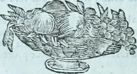 An illustration from Paradossi per pratticare la prospettiva senza saperla, fiori, per facilitare l'intelligenza, frvtti, per non operare alla cieca : cognitioni necessarie a pittori, scultori, architetti, ed à qualunque si diletta di disegno (1672)