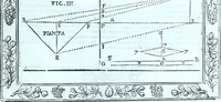 Picture 60 of 115 from Paradossi per pratticare la prospettiva senza saperla, fiori, per facilitare l'intelligenza, frvtti, per non operare alla cieca : cognitioni necessarie a pittori, scultori, architetti, ed à qualunque si diletta di disegno (1672), leaf 66