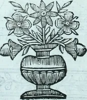 An illustration from Paradossi per pratticare la prospettiva senza saperla, fiori, per facilitare l'intelligenza, frvtti, per non operare alla cieca : cognitioni necessarie a pittori, scultori, architetti, ed à qualunque si diletta di disegno (1672)