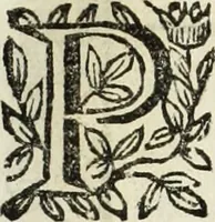 Picture 103 of 157 from Paradossi per pratticare la prospettiua senza saperla, fiori, per facilitare l'intelligenza, frutti, per non operare alla cieca : cognitioni necessarie à pittori, scultori, architetti, ed à qualunque si diletta di disegno (1683), leaf 119