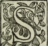 An illustration from Paradossi per pratticare la prospettiua senza saperla, fiori, per facilitare l'intelligenza, frutti, per non operare alla cieca : cognitioni necessarie à pittori, scultori, architetti, ed à qualunque si diletta di disegno (1683)