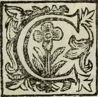 An illustration from Paradossi per pratticare la prospettiua senza saperla, fiori, per facilitare l'intelligenza, frutti, per non operare alla cieca : cognitioni necessarie à pittori, scultori, architetti, ed à qualunque si diletta di disegno (1683)