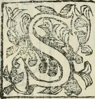 An illustration from Paradossi per pratticare la prospettiua senza saperla, fiori, per facilitare l'intelligenza, frutti, per non operare alla cieca : cognitioni necessarie à pittori, scultori, architetti, ed à qualunque si diletta di disegno (1683)