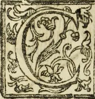 Picture 134 of 157 from Paradossi per pratticare la prospettiua senza saperla, fiori, per facilitare l'intelligenza, frutti, per non operare alla cieca : cognitioni necessarie à pittori, scultori, architetti, ed à qualunque si diletta di disegno (1683), leaf 161
