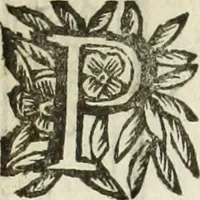 An illustration from Paradossi per pratticare la prospettiua senza saperla, fiori, per facilitare l'intelligenza, frutti, per non operare alla cieca : cognitioni necessarie à pittori, scultori, architetti, ed à qualunque si diletta di disegno (1683)