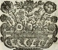 Picture 20 of 157 from Paradossi per pratticare la prospettiua senza saperla, fiori, per facilitare l'intelligenza, frutti, per non operare alla cieca : cognitioni necessarie à pittori, scultori, architetti, ed à qualunque si diletta di disegno (1683), leaf 17