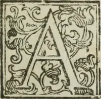 An illustration from Paradossi per pratticare la prospettiua senza saperla, fiori, per facilitare l'intelligenza, frutti, per non operare alla cieca : cognitioni necessarie à pittori, scultori, architetti, ed à qualunque si diletta di disegno (1683)