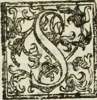 Picture 151 of 157 from Paradossi per pratticare la prospettiua senza saperla, fiori, per facilitare l'intelligenza, frutti, per non operare alla cieca : cognitioni necessarie à pittori, scultori, architetti, ed à qualunque si diletta di disegno (1683), leaf 185
