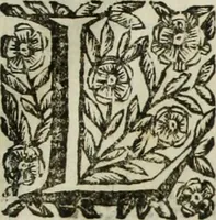 An illustration from Paradossi per pratticare la prospettiua senza saperla, fiori, per facilitare l'intelligenza, frutti, per non operare alla cieca : cognitioni necessarie à pittori, scultori, architetti, ed à qualunque si diletta di disegno (1683)