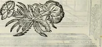 An illustration from Paradossi per pratticare la prospettiua senza saperla, fiori, per facilitare l'intelligenza, frutti, per non operare alla cieca : cognitioni necessarie à pittori, scultori, architetti, ed à qualunque si diletta di disegno (1683)