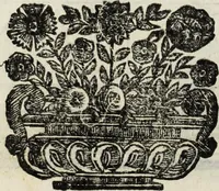 Picture 41 of 157 from Paradossi per pratticare la prospettiua senza saperla, fiori, per facilitare l'intelligenza, frutti, per non operare alla cieca : cognitioni necessarie à pittori, scultori, architetti, ed à qualunque si diletta di disegno (1683), leaf 43