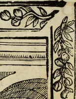 Picture 4 of 157 from Paradossi per pratticare la prospettiua senza saperla, fiori, per facilitare l'intelligenza, frutti, per non operare alla cieca : cognitioni necessarie à pittori, scultori, architetti, ed à qualunque si diletta di disegno (1683), leaf 5