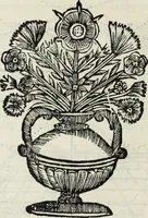 An illustration from Paradossi per pratticare la prospettiua senza saperla, fiori, per facilitare l'intelligenza, frutti, per non operare alla cieca : cognitioni necessarie à pittori, scultori, architetti, ed à qualunque si diletta di disegno (1683)
