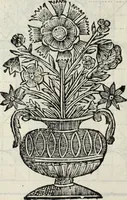 An illustration from Paradossi per pratticare la prospettiua senza saperla, fiori, per facilitare l'intelligenza, frutti, per non operare alla cieca : cognitioni necessarie à pittori, scultori, architetti, ed à qualunque si diletta di disegno (1683)