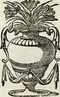Picture 77 of 157 from Paradossi per pratticare la prospettiua senza saperla, fiori, per facilitare l'intelligenza, frutti, per non operare alla cieca : cognitioni necessarie à pittori, scultori, architetti, ed à qualunque si diletta di disegno (1683), leaf 85