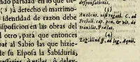 An illustration from Paranynfo celeste : historia de la mystica zarza, milagrosa imagen, y prodigioso santuario de Aranzazu, de religiosos observantes de nuetro [sic] serafico padre San Francisco en la provincia de Guipuzcoa, de la region de Cantabria, (1690)