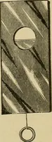 Picture 6 of 179 from Paraphernalia and supplies for subordinate lodges of the Knights of Pythias, in strict accordance with ritualistic requirements .. (1894), leaf 16
