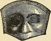 Picture 32 of 179 from Paraphernalia and supplies for subordinate lodges of the Knights of Pythias, in strict accordance with ritualistic requirements .. (1894), leaf 29