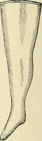 An illustration from Paraphernalia and supplies for subordinate lodges of the Knights of Pythias, in strict accordance with ritualistic requirements .. (1894)