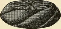 Picture 117 of 179 from Paraphernalia and supplies for subordinate lodges of the Knights of Pythias, in strict accordance with ritualistic requirements .. (1894), leaf 93