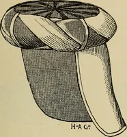 Picture 130 of 179 from Paraphernalia and supplies for subordinate lodges of the Knights of Pythias, in strict accordance with ritualistic requirements .. (1894), leaf 96