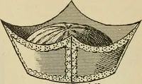 Picture 131 of 179 from Paraphernalia and supplies for subordinate lodges of the Knights of Pythias, in strict accordance with ritualistic requirements .. (1894), leaf 96