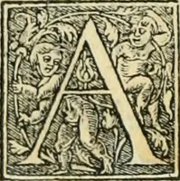 An illustration from Paraphrase de l'astrolabe, contenant Les principes de geometrie. La sphere. L'astrolabe, ou, declaration des choses celestes. Le miroir du monde, ou, exposition des parties de la terre (1546)