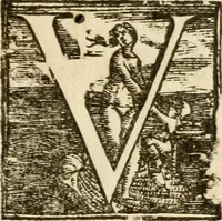 Picture 15 of 15 from Parere di Hercole Mariscotti patricio bolognese : se i concetti favolosi si debbano ammettere ne i corpi dell'imprese : problemma proposto nell' Academia de' Gelati all'istessa illustrissima Academia (1613), leaf 102