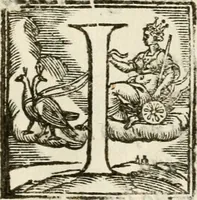 Picture 10 of 15 from Parere di Hercole Mariscotti patricio bolognese : se i concetti favolosi si debbano ammettere ne i corpi dell'imprese : problemma proposto nell' Academia de' Gelati all'istessa illustrissima Academia (1613), leaf 96