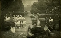 An illustration from Paris the beautiful (1908)