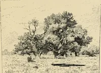 An illustration from Parisian art and artists (1883)