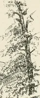 Picture 104 of 134 from Paris and its story, by T. Okey; illustrated by Katherine Kimball & O. F. M. Ward (1904), leaf 418
